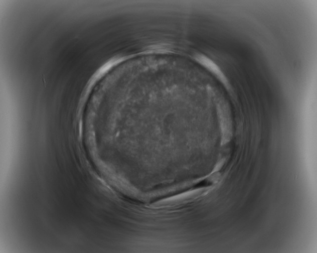X0000084001419200703091856