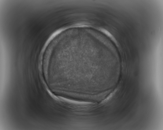 X0000084001421200703091856