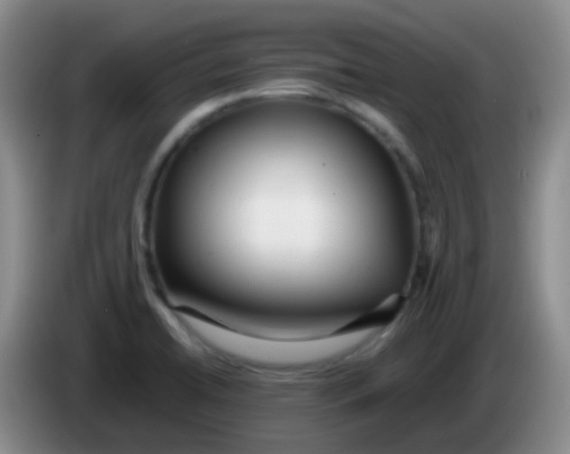 X0000084001422200703091856
