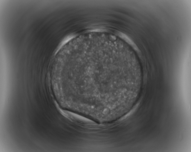 X0000084001425200703091857