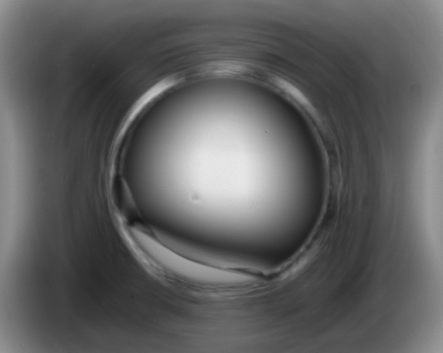 X0000084001426200703091857