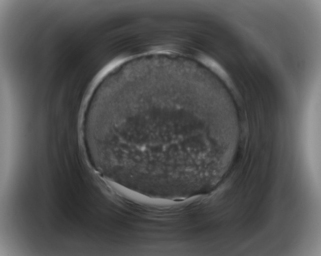 X0000084001427200703091857