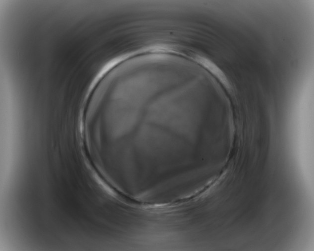 X0000084001428200703091857