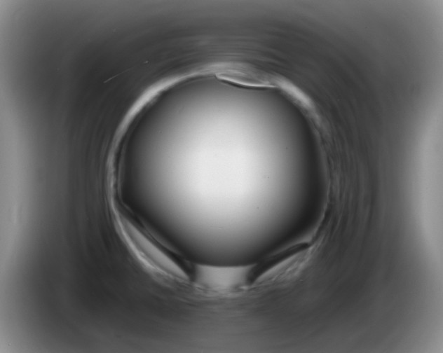 X0000084001430200703091857