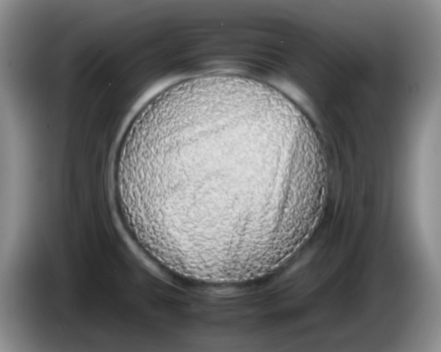 X0000084001431200703091857