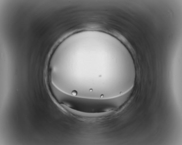 X0000084001432200703091857