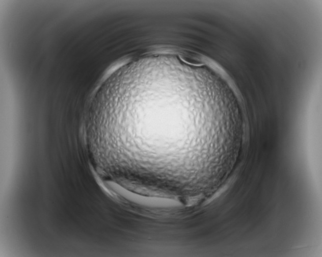 X0000084001433200703091857