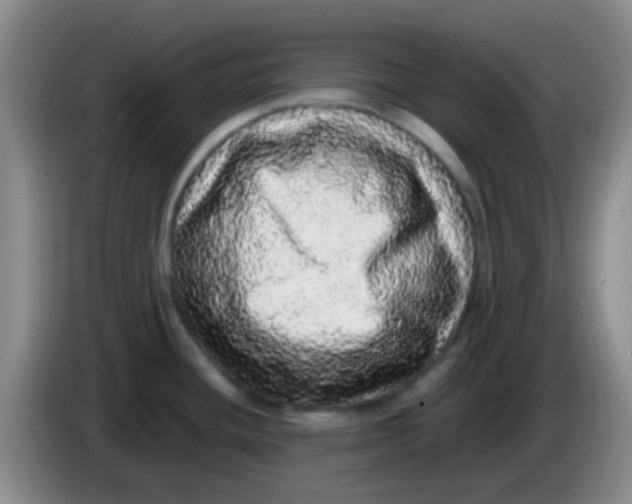 X0000084001436200703091857