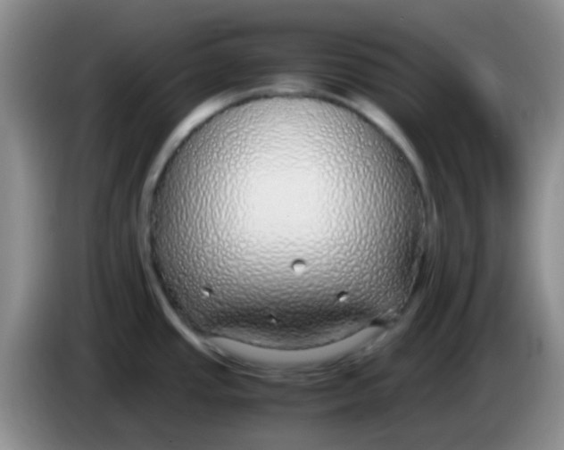 X0000084001437200703091857