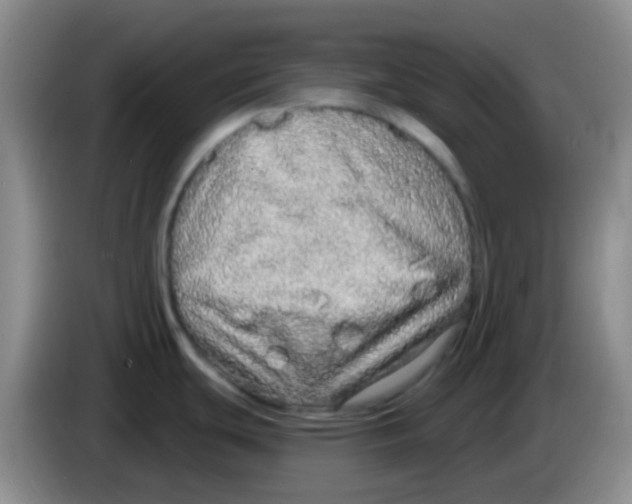 X0000084001439200703091857