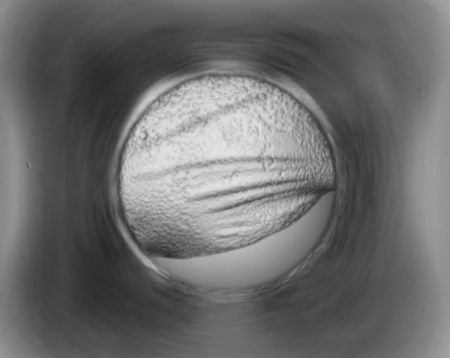 X0000084001440200703091857