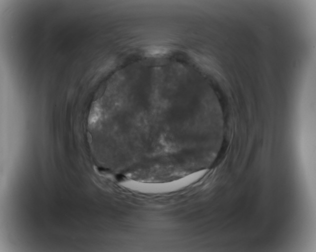 X0000084001441200703091856