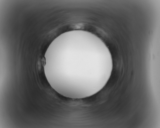 X0000084001442200703091856