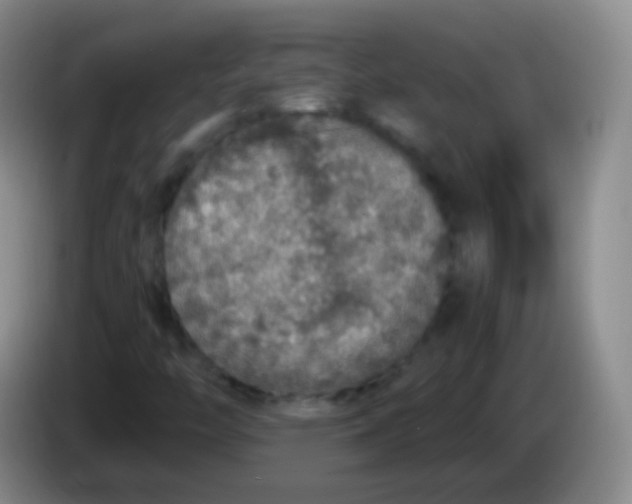 X0000084001446200703091856