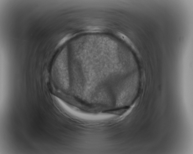 X0000084001449200703091856
