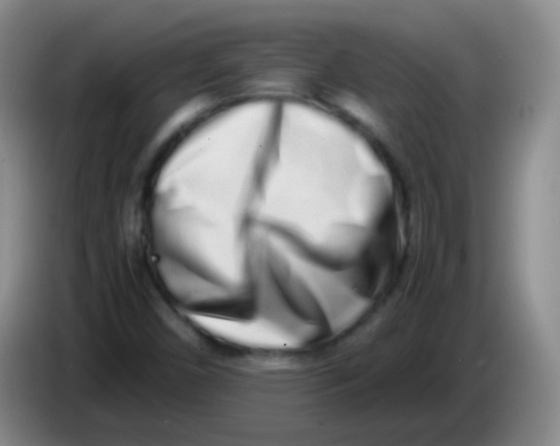 X0000084001450200703091856