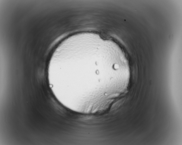 X0000084001452200703091856