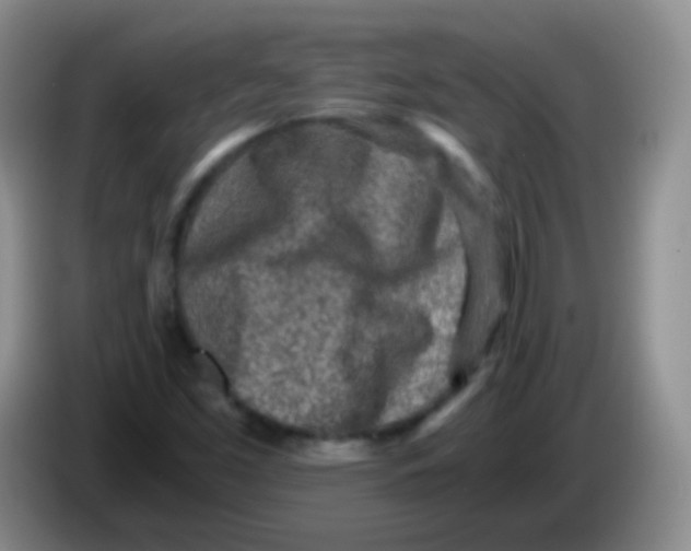X0000084001453200703091856