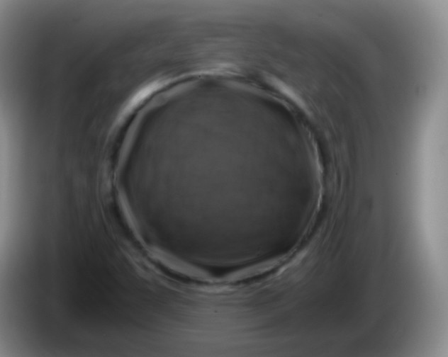 X0000084001455200703091856