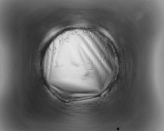 X0000084001456200703091856