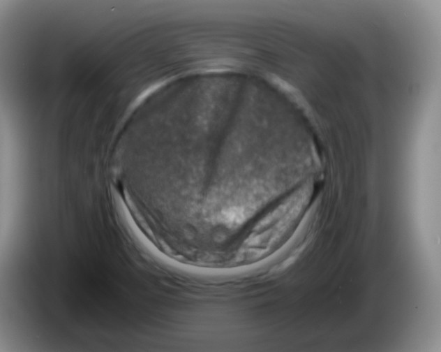 X0000084001457200703091856