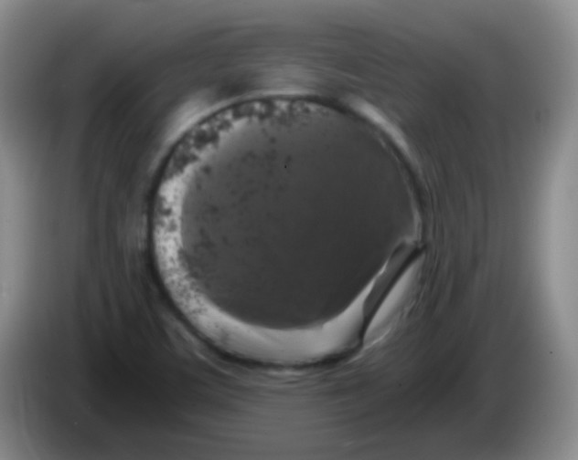 X0000084001459200703091856