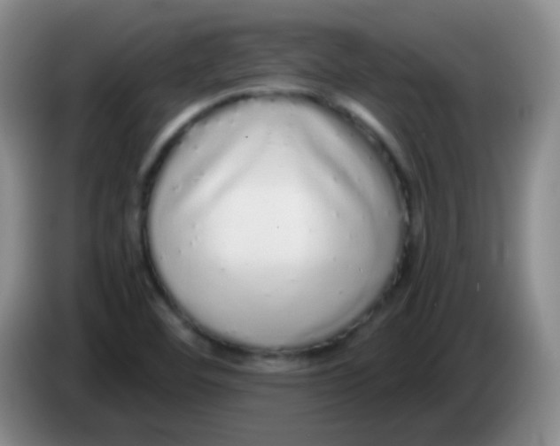 X0000084001460200703091856