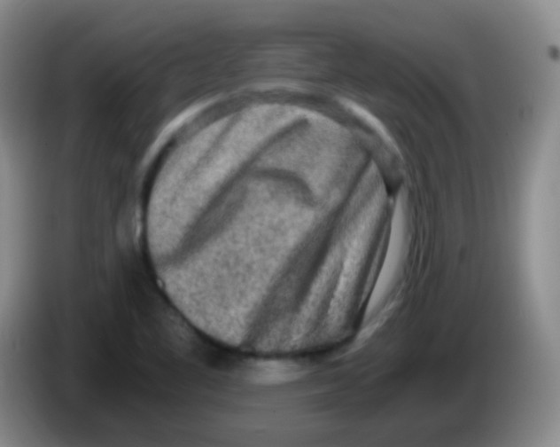 X0000084001461200703091856