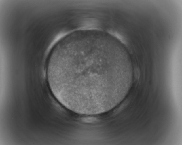 X0000084001462200703091856