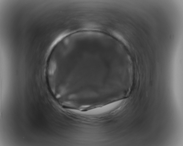 X0000084001463200703091856