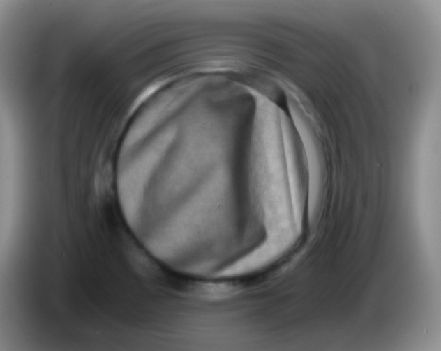 X0000084001465200703091856