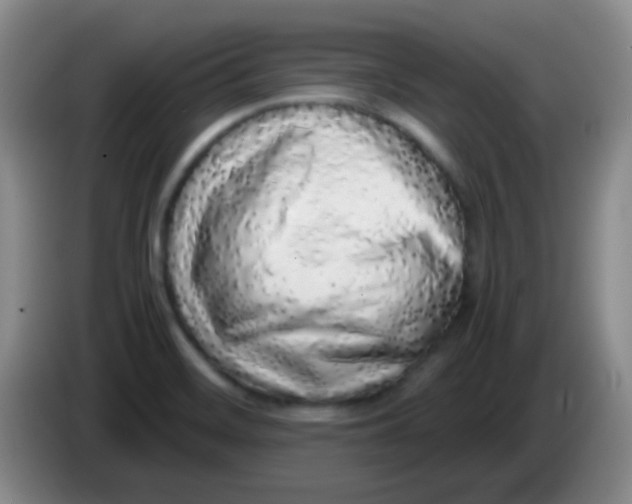 X0000084001468200703091856