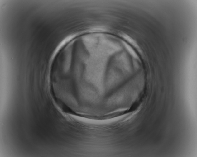 X0000084001469200703091856
