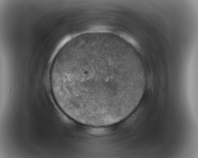 X0000084001470200703091856