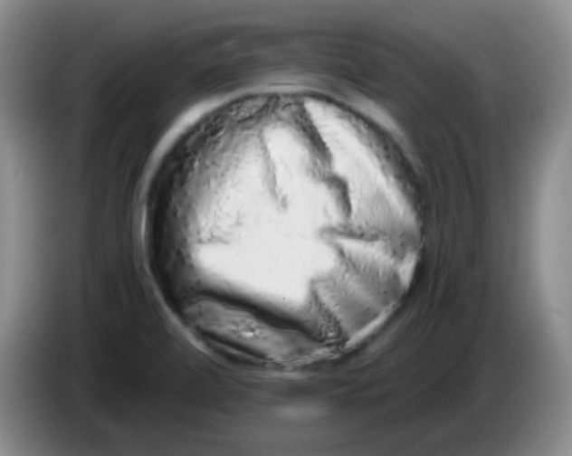 X0000084001472200703091856