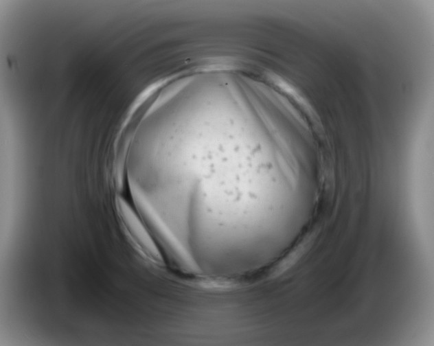 X0000084001473200703091856