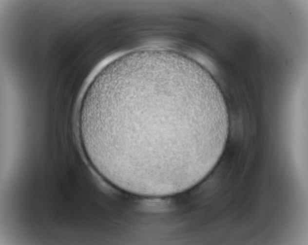 X0000084001478200703091856