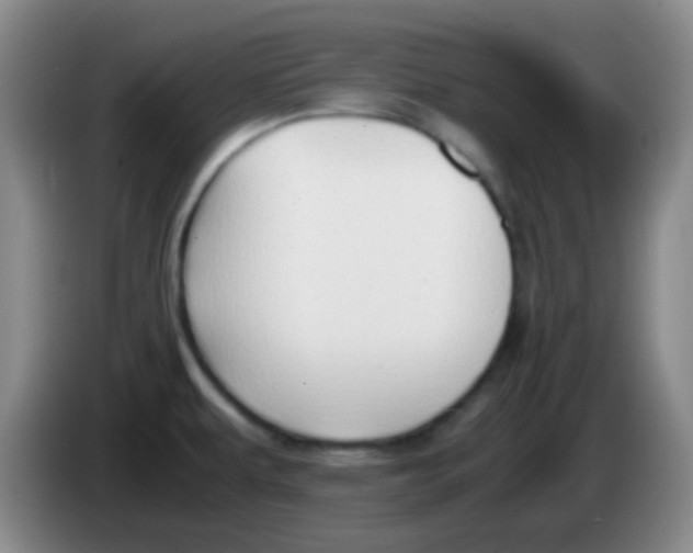 X0000084001479200703091856