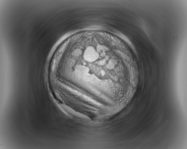 X0000084001480200703091856