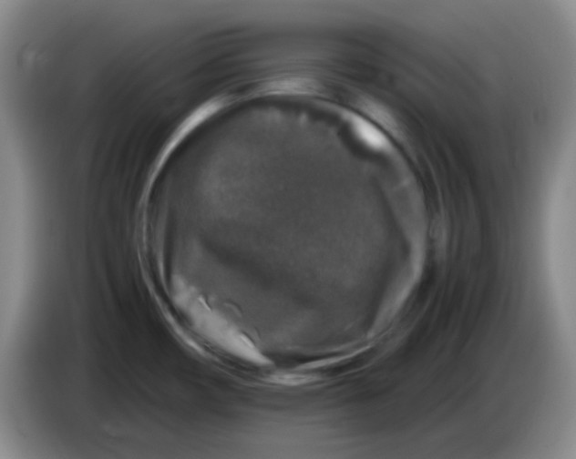 X0000084001482200703091856