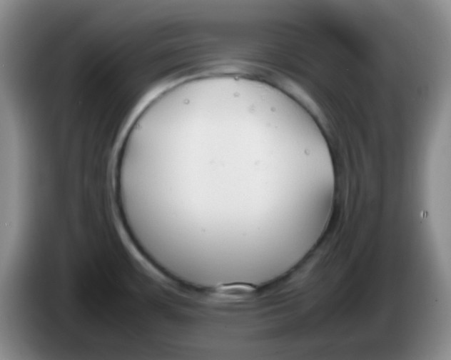 X0000084001483200703091856