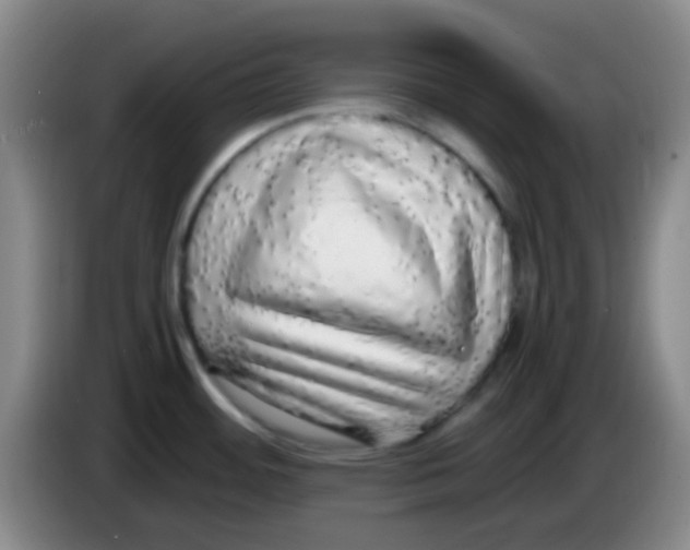 X0000084001484200703091855