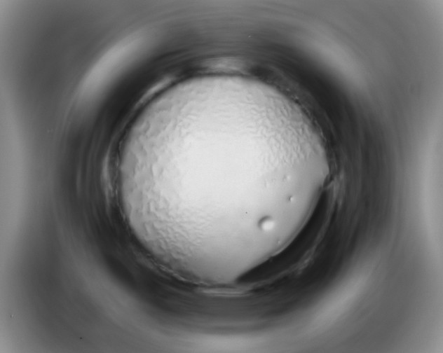 X0000084001487200703091855