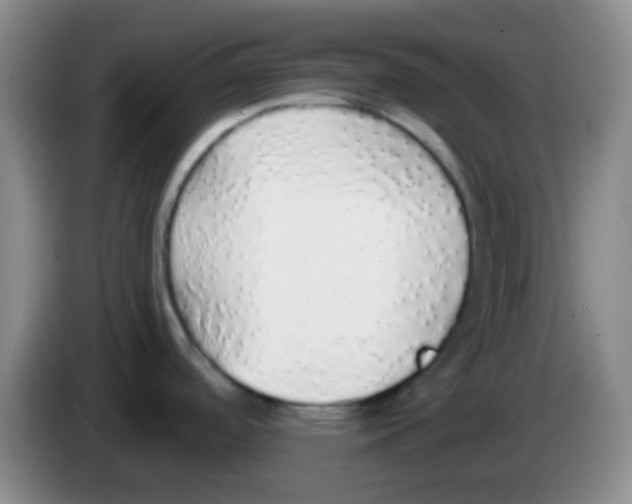 X0000084001488200703091855