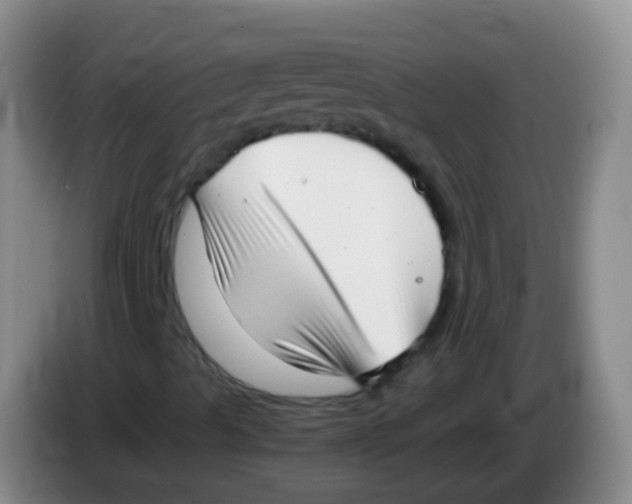X0000084001489200703091855