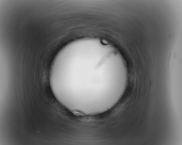 X0000084001490200703091855