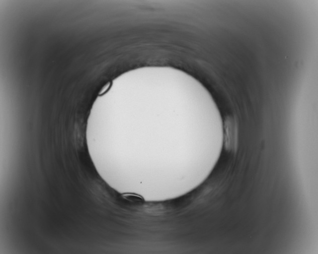 X0000084001491200703091855