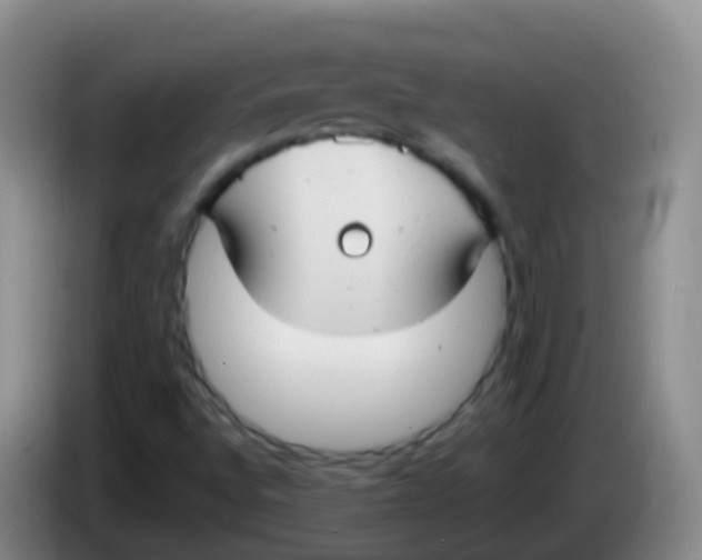 X0000084001496200703091855