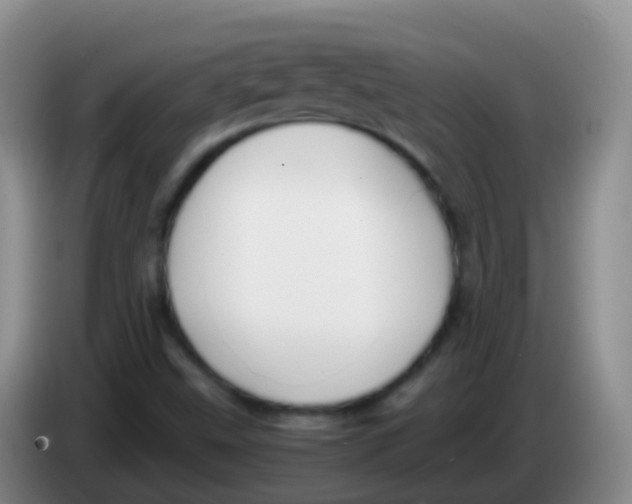 X0000084001499200703091855