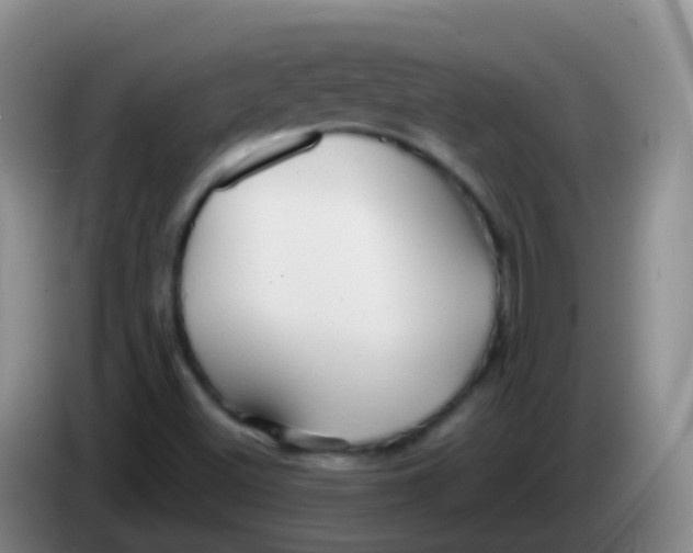 X0000084001500200703091855